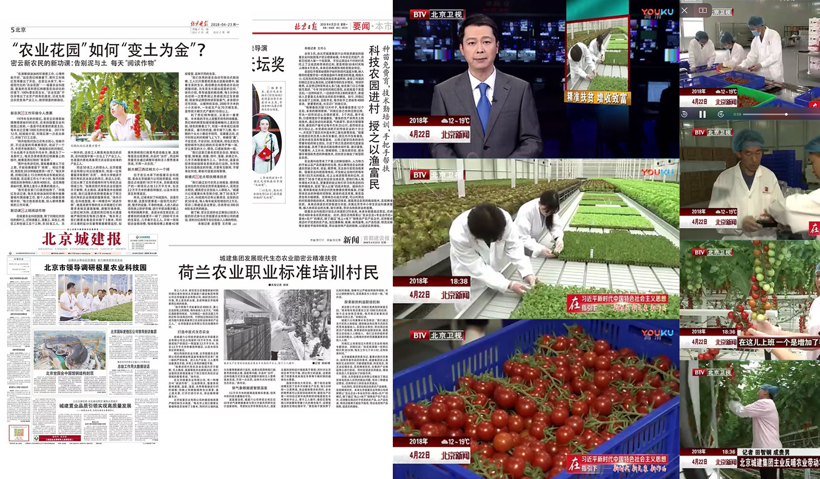 極星農業
